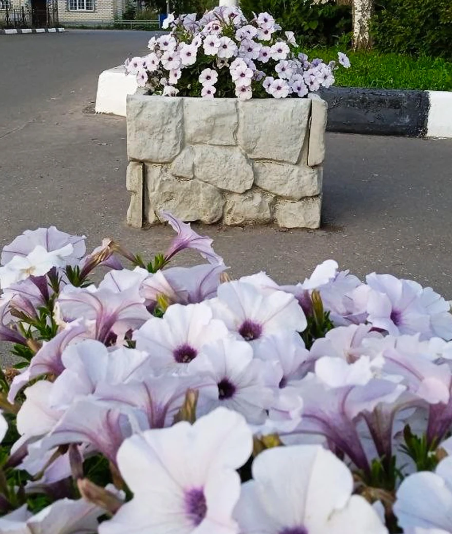 Цветник «Бутовый камень»